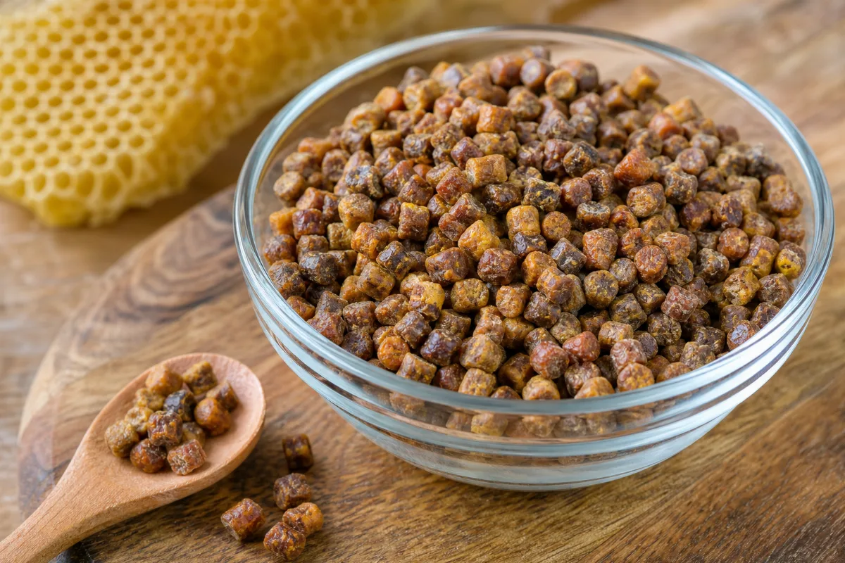 Close-up of bee bread