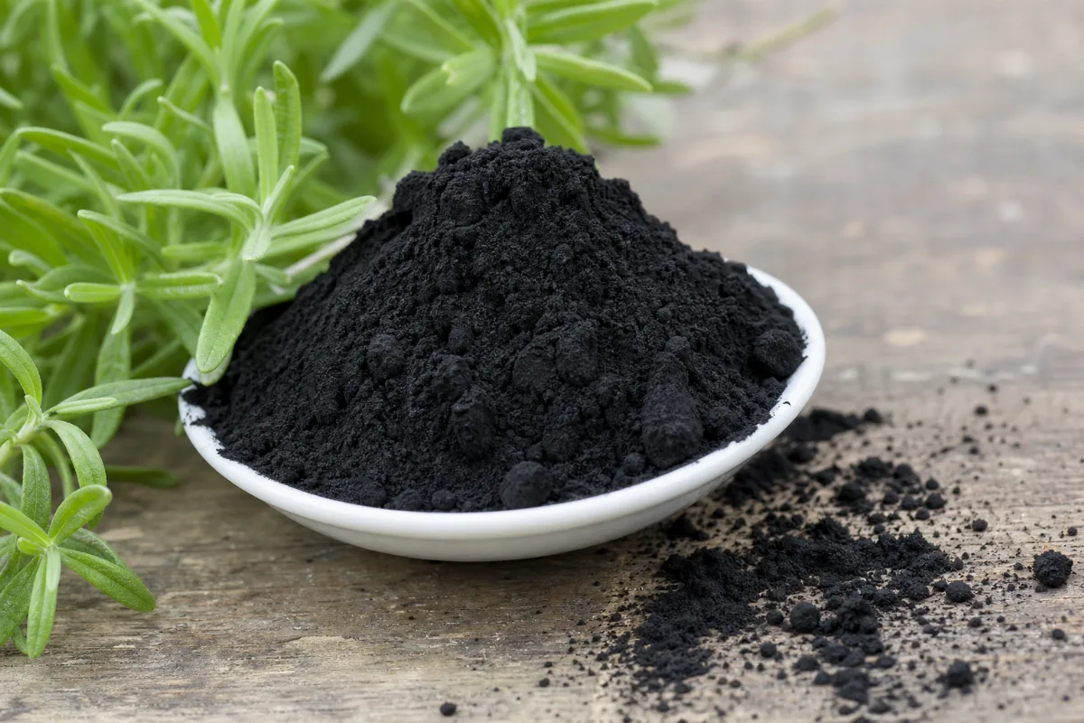 Close-up of activated charcoal