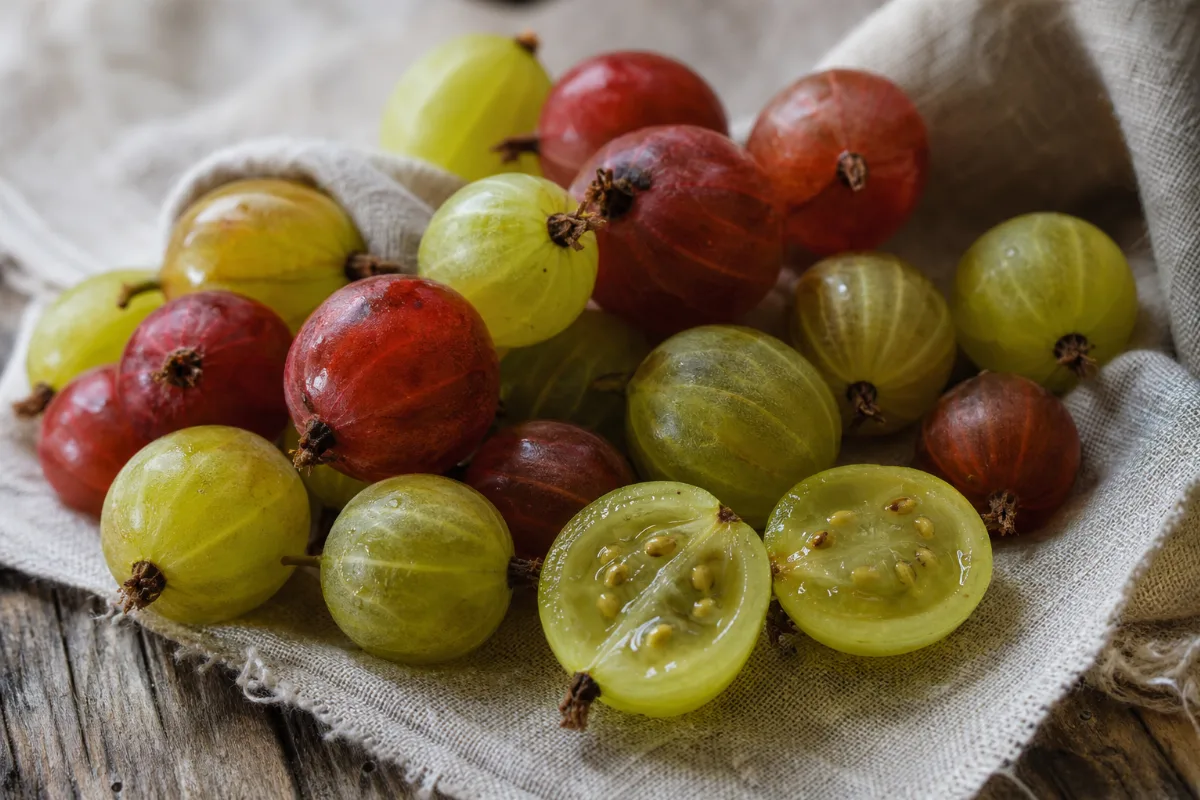 Close-up of gooseberries