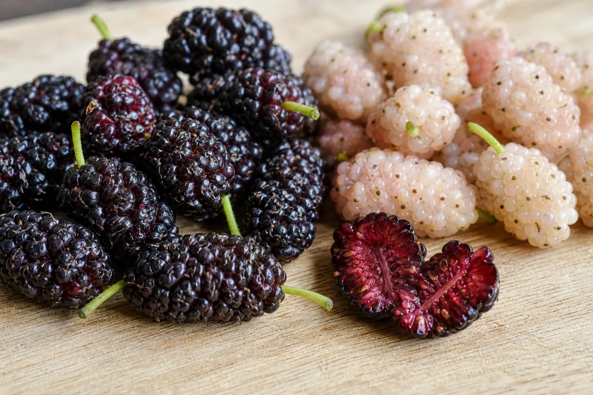 Close-up of mulberries