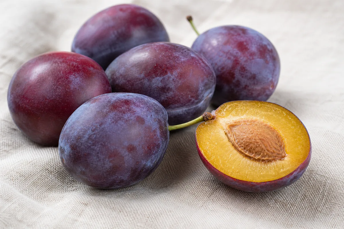 Close-up of plums