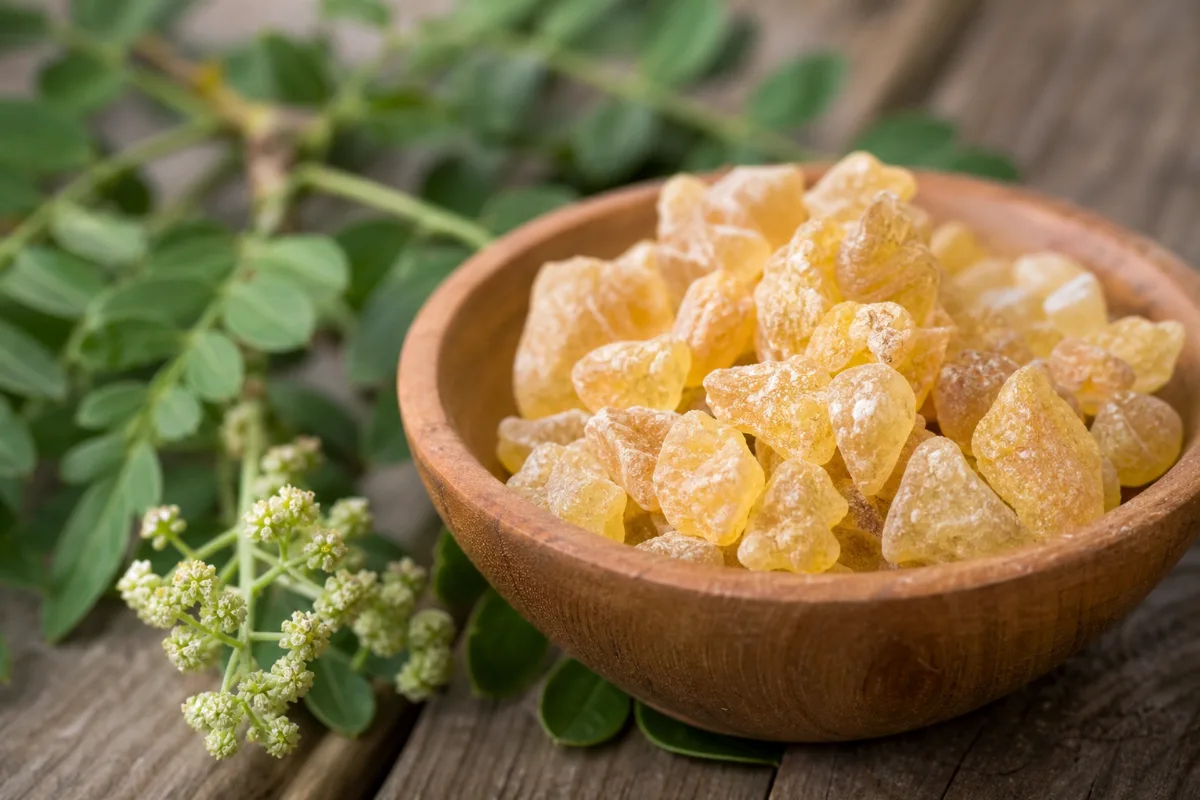 Close-up of boswellia (frankincense resin extract) (boswellia serrata): uses, evidence and safety
