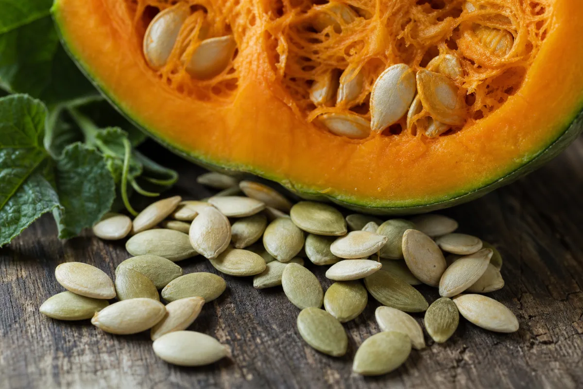 Close-up of pumpkin seed