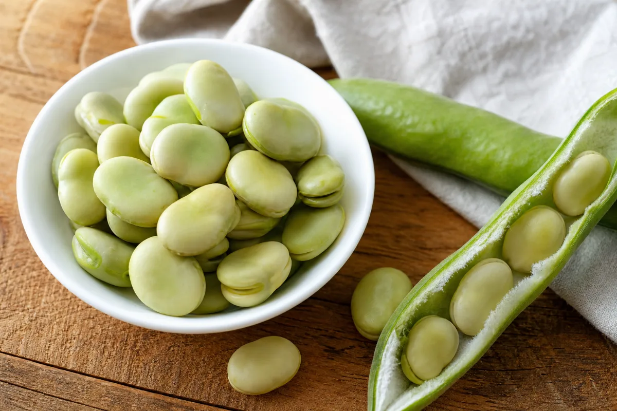 Close-up of fava beans (broad beans)