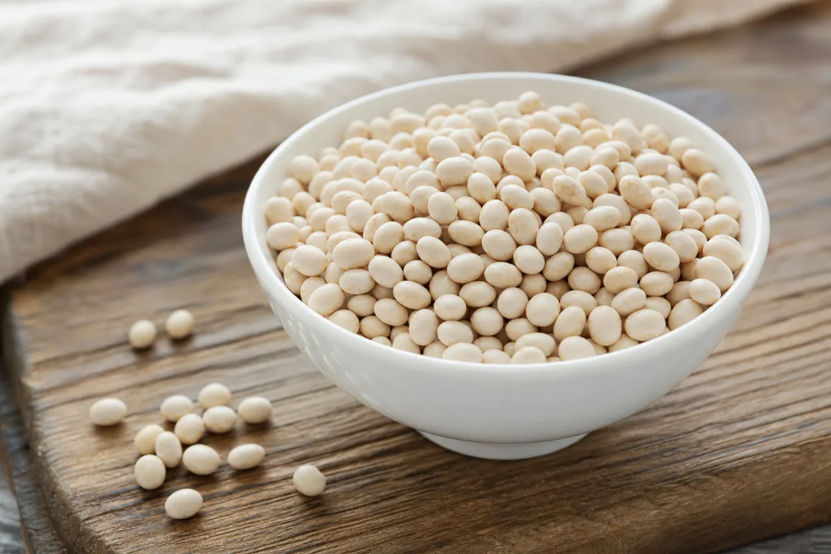 Close-up of navy beans