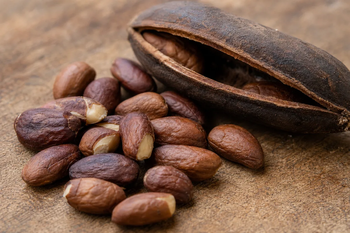 Close-up of baru nuts