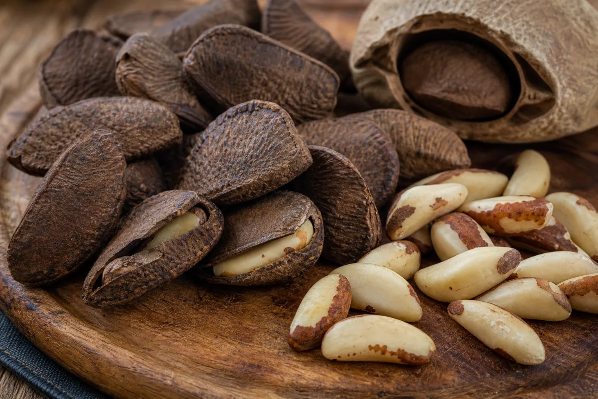 Close-up of brazil nuts
