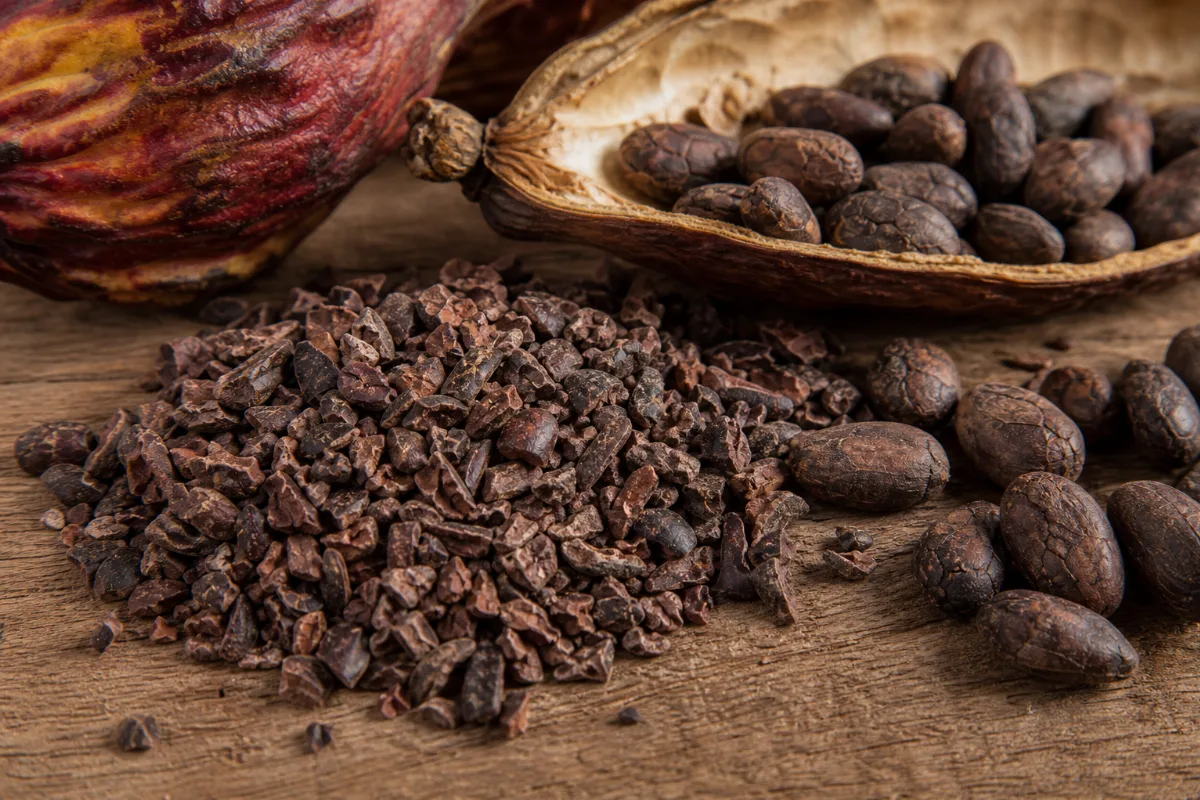 Close-up of cacao nibs