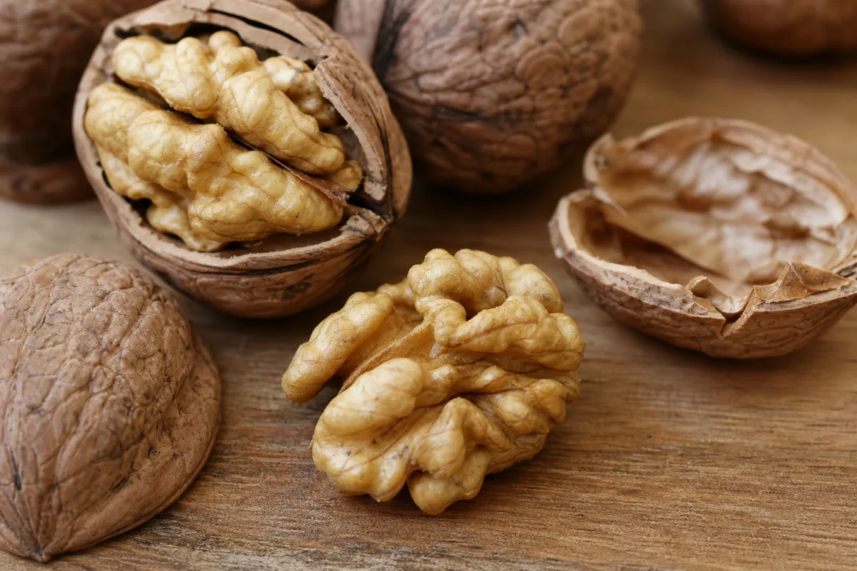Close-up of walnuts