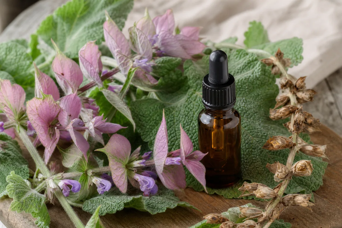 Close-up of clary sage oil