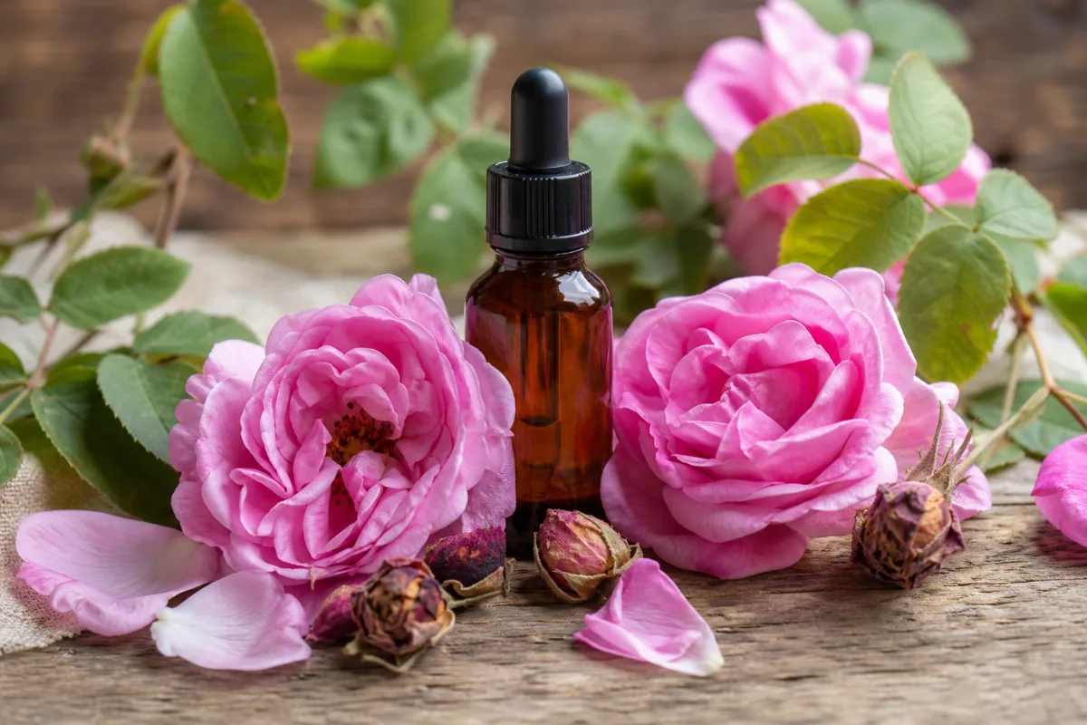Close-up of rose oil (otto and absolute)