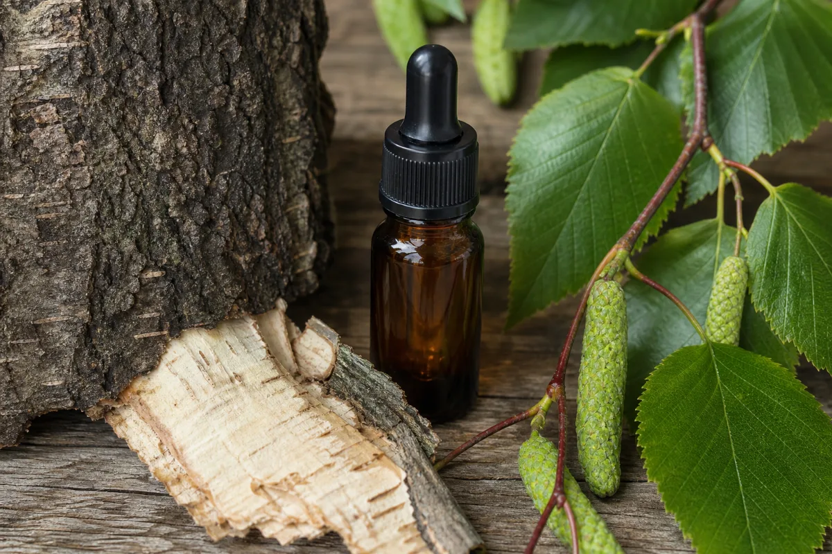 Close-up of sweet birch oil