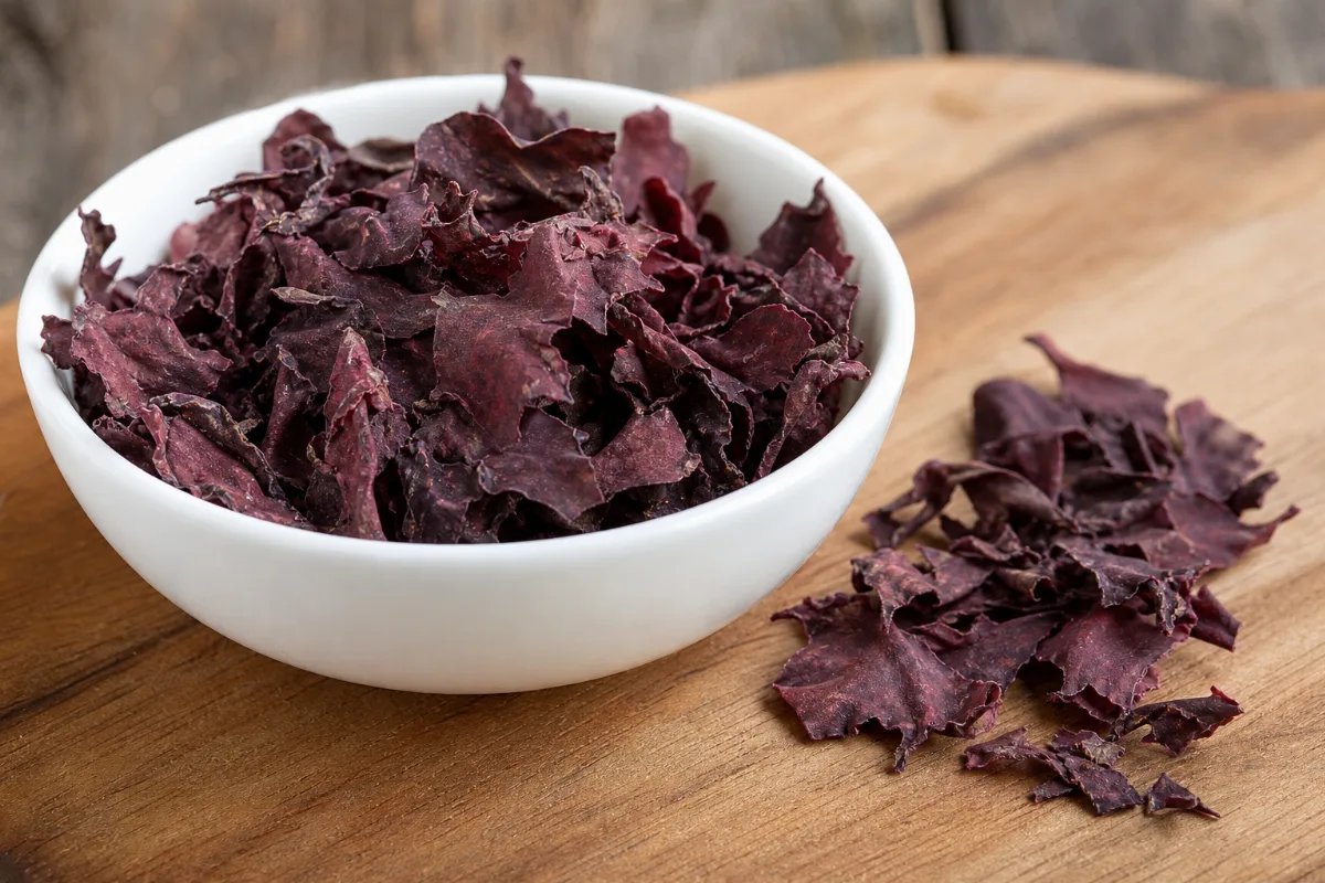 Close-up of dulse