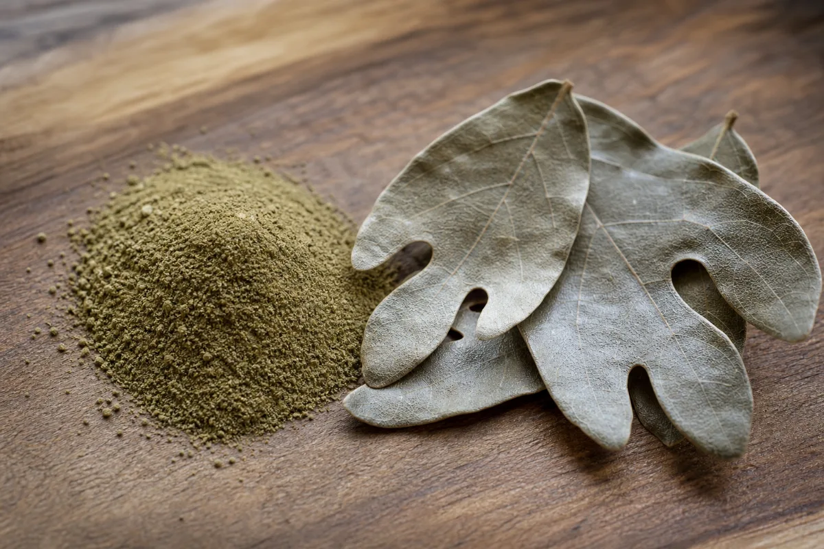 Close-up of filé powder (ground sassafras leaf)