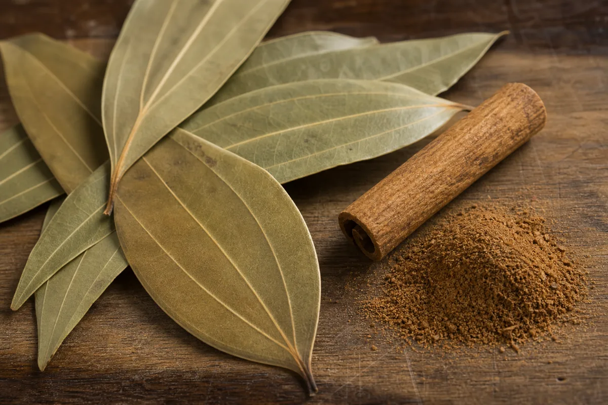 Close-up of indian bay leaf (tej patta)