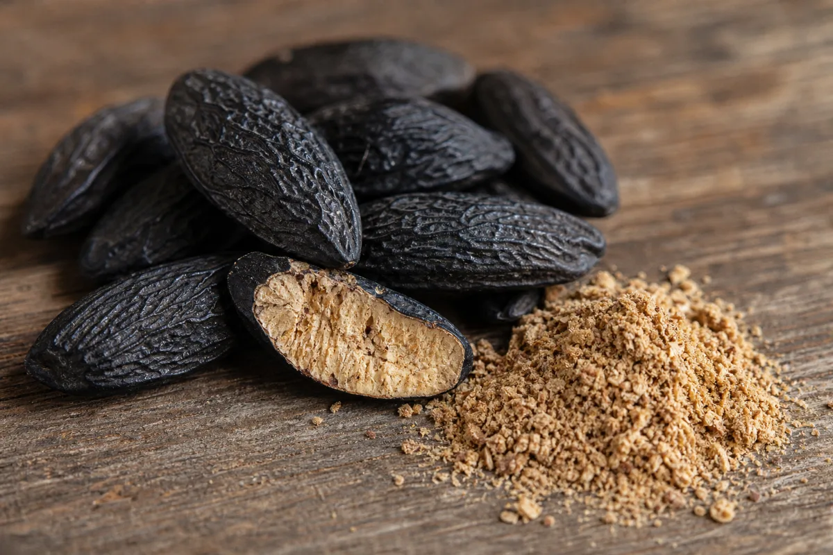 Close-up of tonka bean