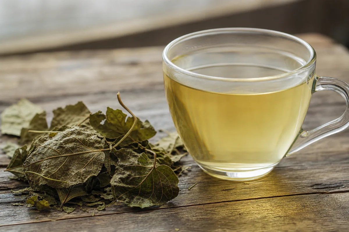 Close-up of mulberry leaf tea: what research shows about the tea, safety and cautions