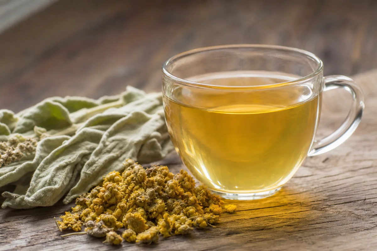 Close-up of mullein tea: what research shows about the tea, safety and cautions