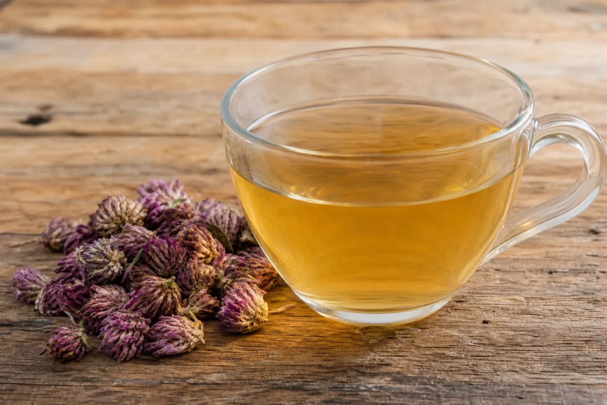 Close-up of red clover tea: what research shows about the tea, safety and cautions
