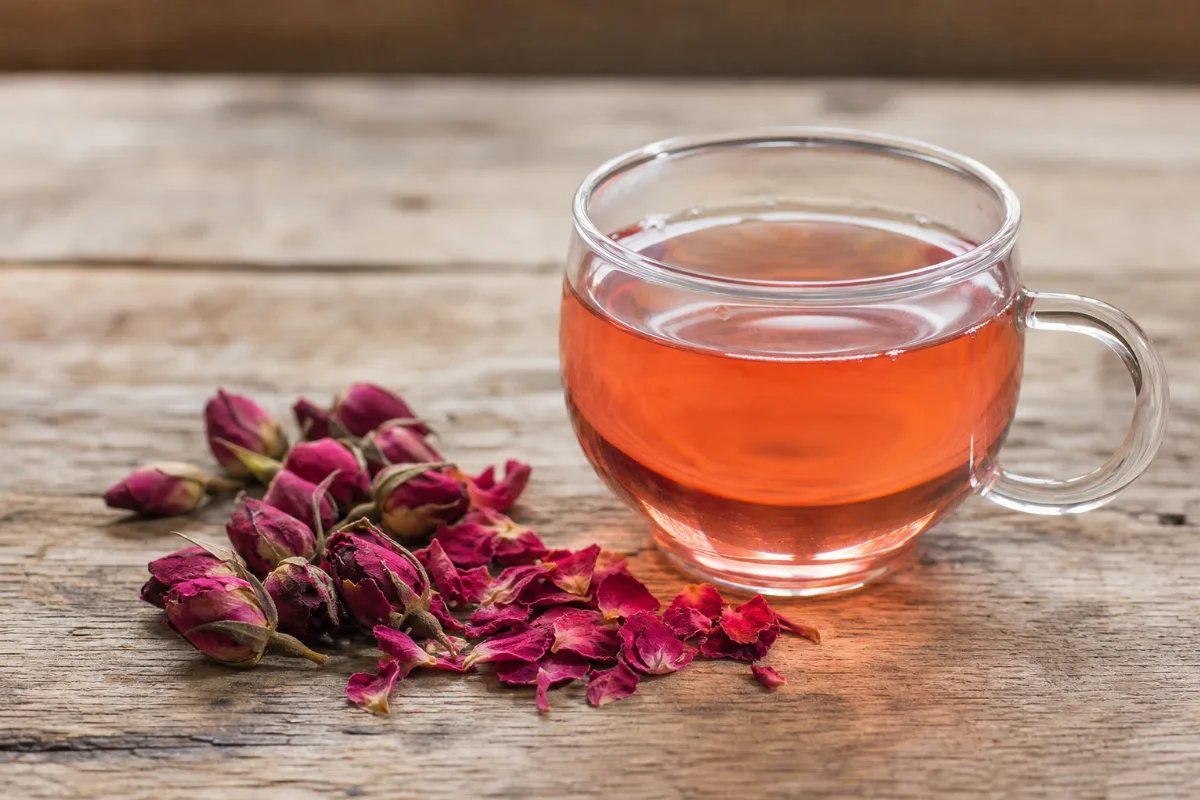 Close-up of damask rose (Rosa damascena) flower petals