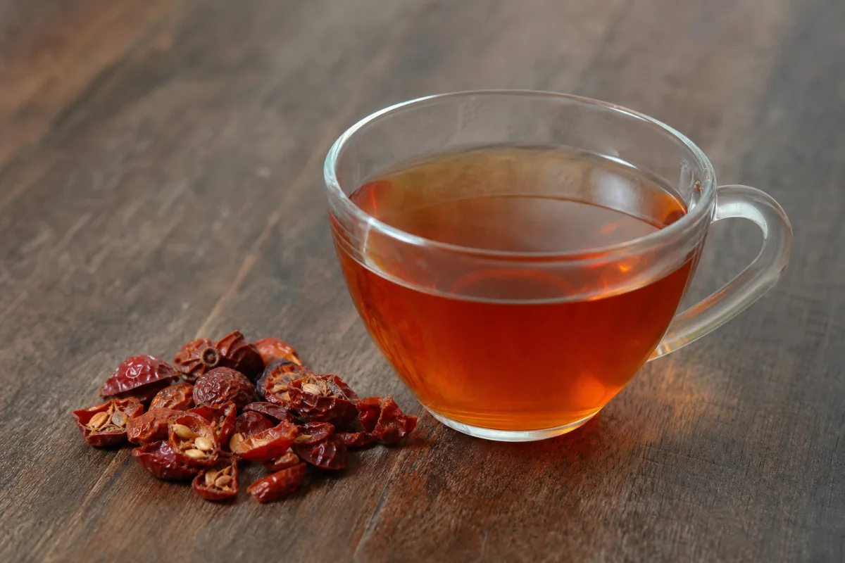 Close-up of rosehip tea: what research shows about the tea, safety and cautions