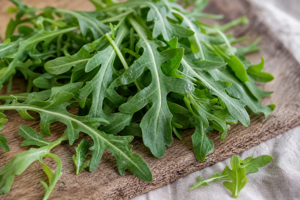 Close-up of arugula (rocket)