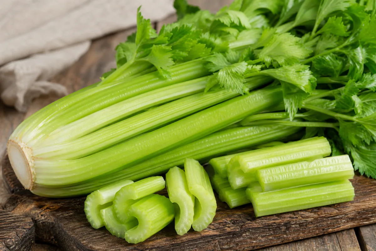Close-up of celery