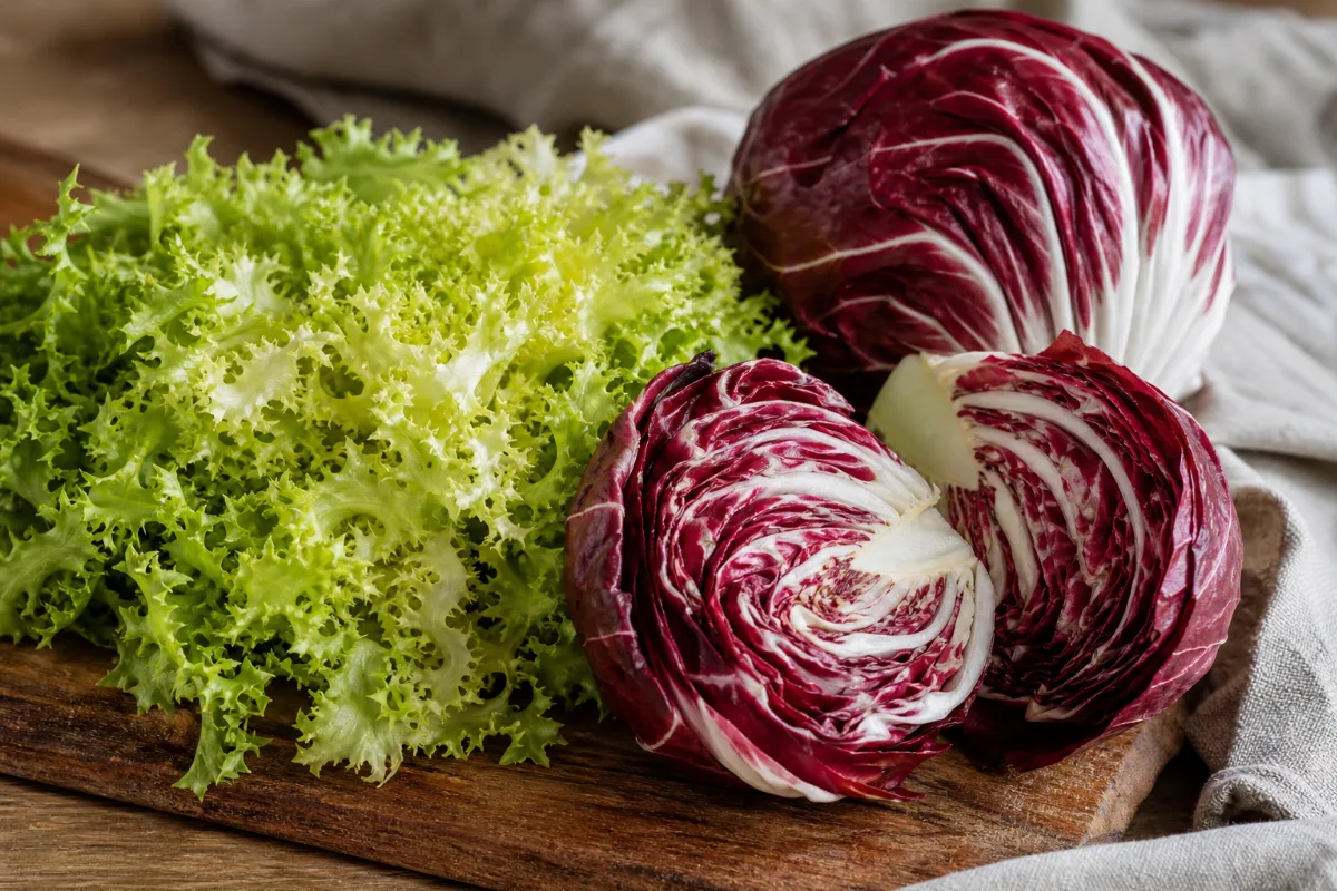 Close-up of chicory, endive & radicchio