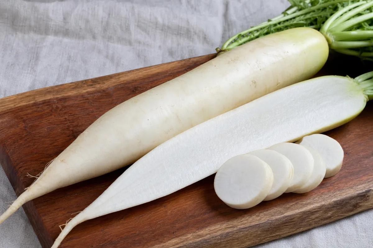 Close-up of daikon radish