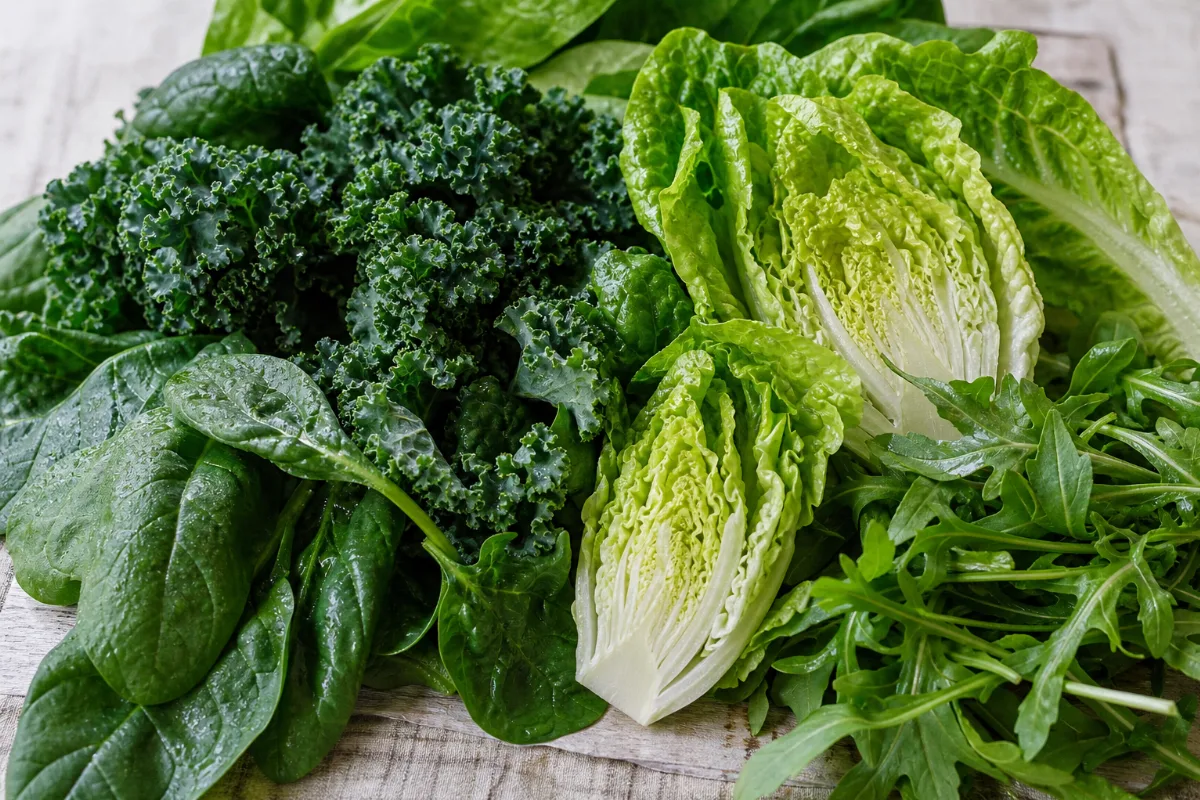 Close-up of leafy greens (overview)