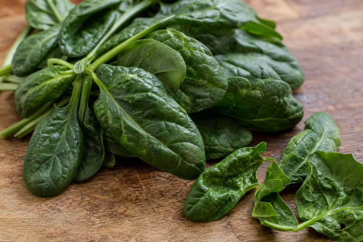 Close-up of spinach