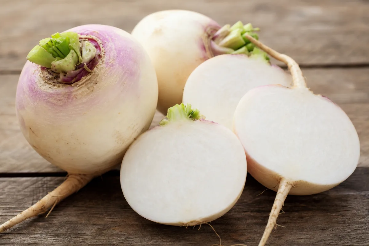 Close-up of turnips