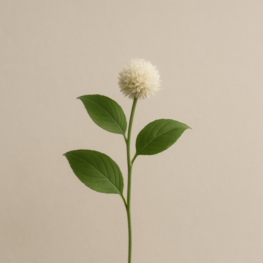 Sacred Botanicals