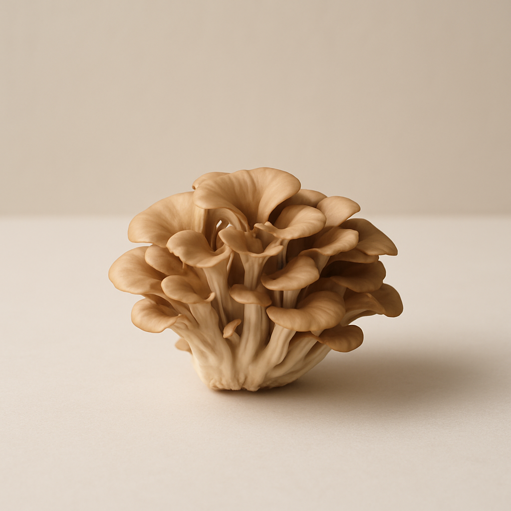 Immune Support Mushrooms