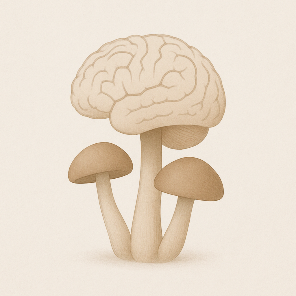 Cognitive Mushrooms