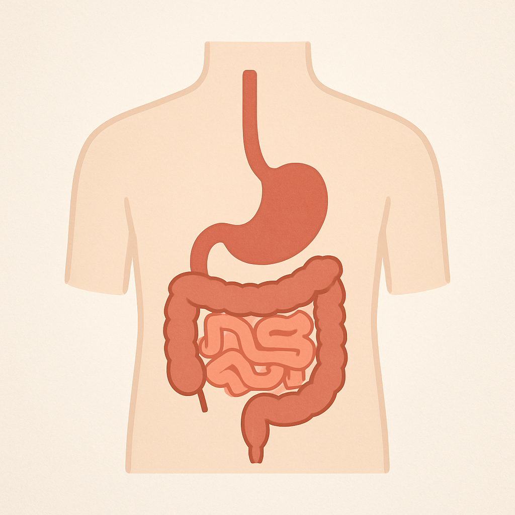 Digestive Nutrients