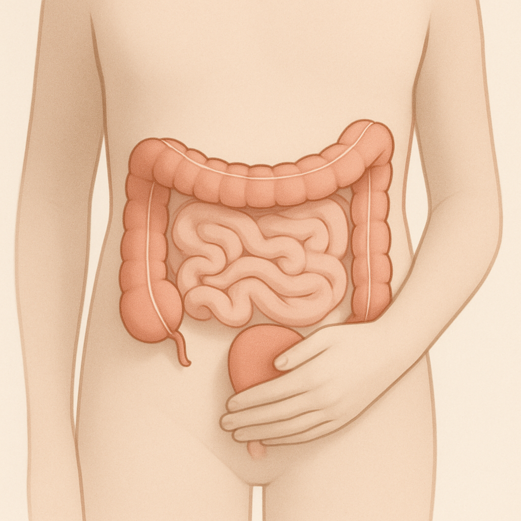 Intestinal Repair